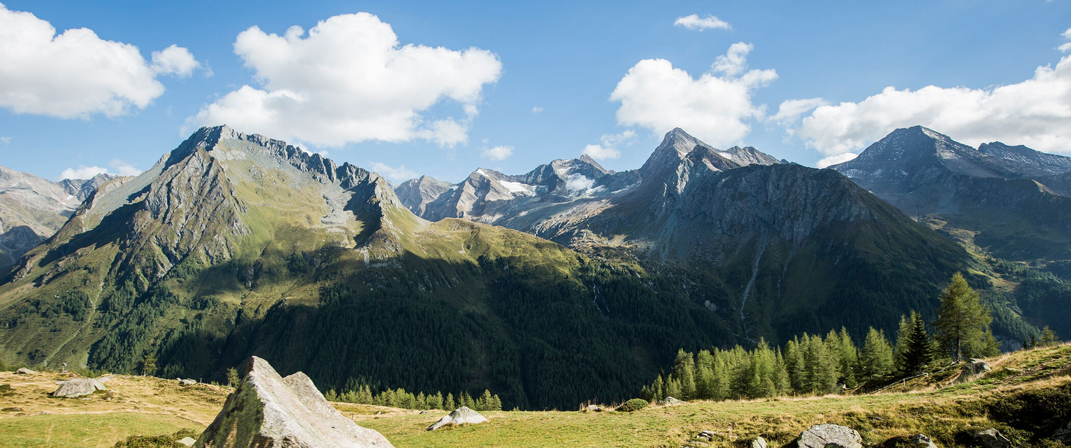 Almenwiese mit Felsen im Sommer und einer mächtigen Bergkulisse im Hintergrund - Hotel Majestic