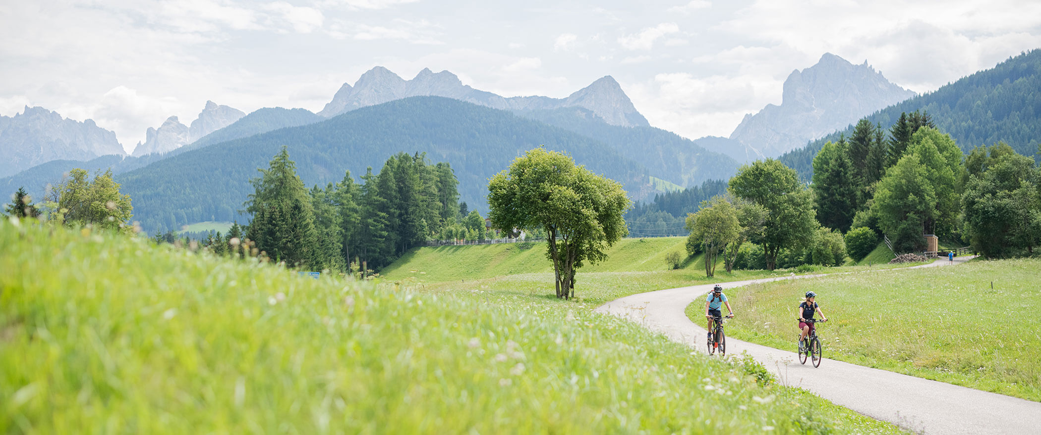 Fahrradfahrer unterwegs entlang eine Straße, links und rechts sind Felder - Hotel Majestic