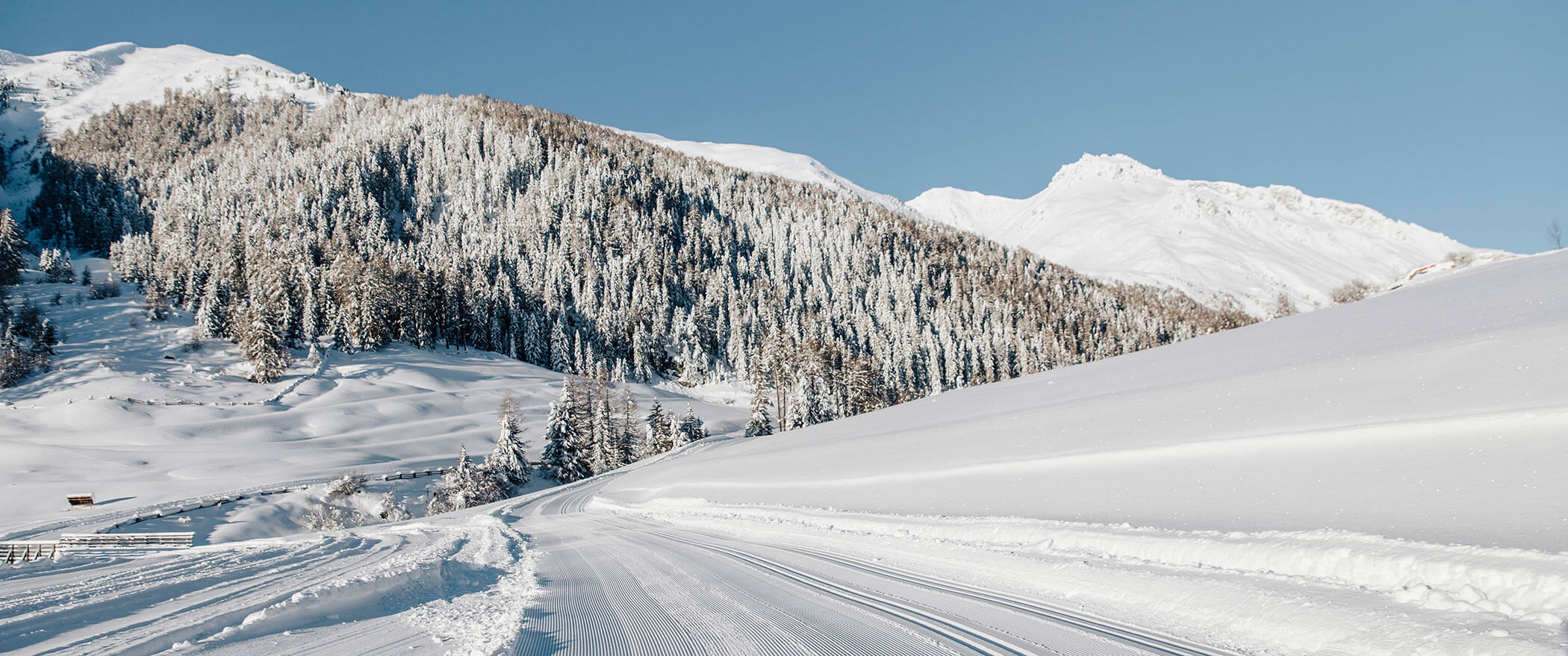 Gut präparierte Langlaufloipe und die verschneite Landschaft dahinter - Hotel Majestic