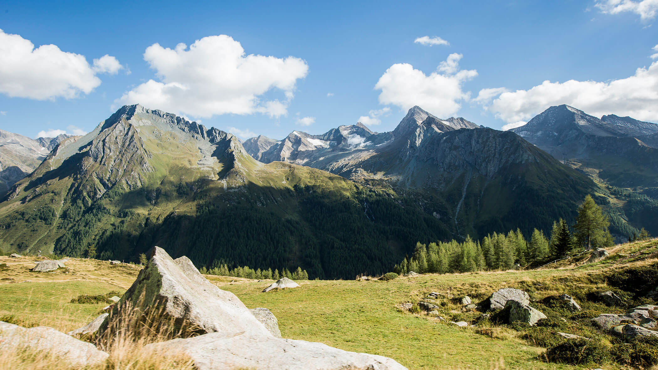 Almenwiese mit Felsen im Sommer und einer mächtigen Bergkulisse im Hintergrund - Hotel Majestic